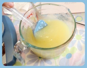 Amla Power Shampoo 5