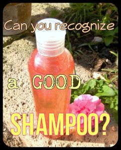 BeFunky_Shampoo .jpg
