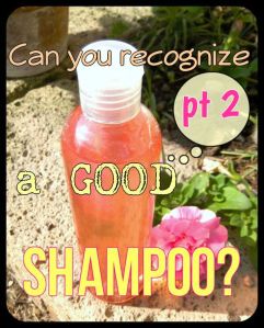 Canyourecognizeagoodshampoo.jpg
