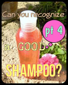 Can you recognize a good Shampoo pt 4